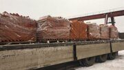 IMG-20221118-WA0019